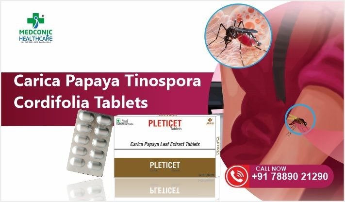 Carica Papaya Tinospora Cordifolia Tablets