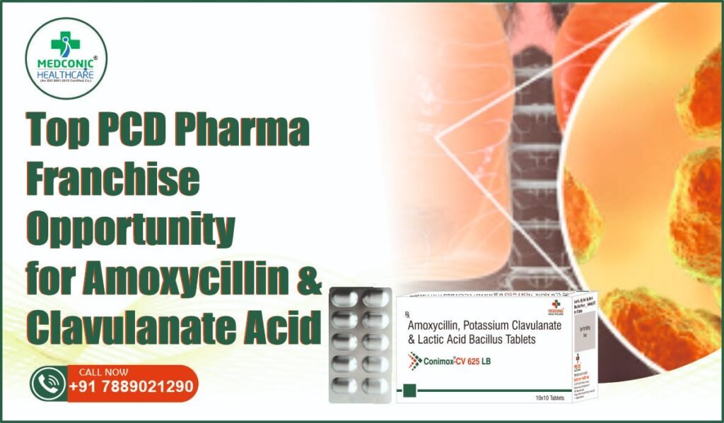 CONIMOX CV 625LB - Amoxycillin Clavulanate Acid Lactic Acid Bacillus and Million Spores